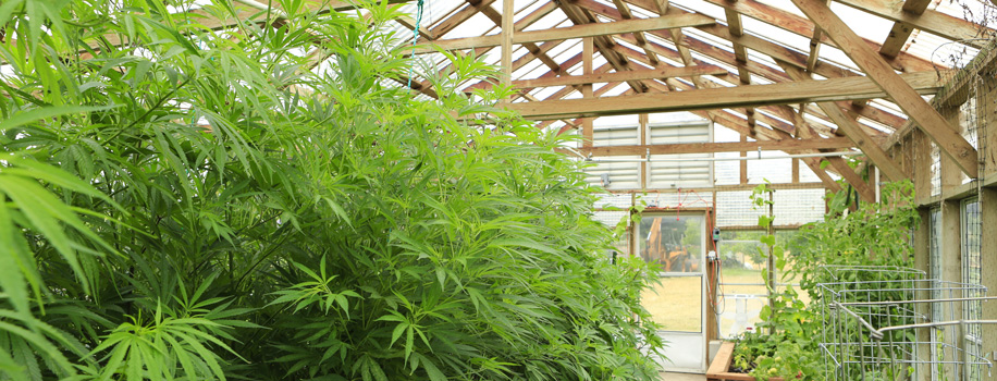 Security Solutions for Apartments in Saint Clairsville,  OH